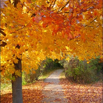 Sandra Berger Psychotherapy - Psychologists Near Me - San Francisco, California Sandra Berger Psychotherapy - Psychologists Near Me - San Francisco, California