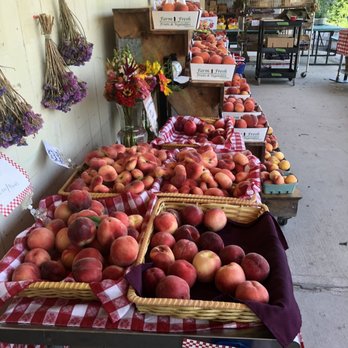 Apple Hill Farm - Peaches are in season! Also nectarines, donut peaches, corn, cucumbers etc. - Fruits & Veggies Near Me - Concord, New Hampshire