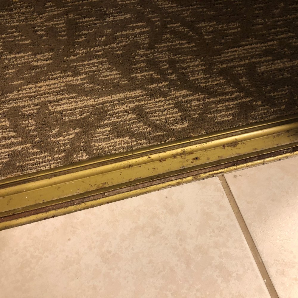 Chase Suite Hotel - dirt and mold on the closet door tracks - Hotels Near Me - Newark, California