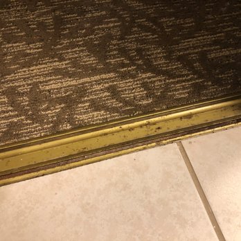Chase Suite Hotel - dirt and mold on the closet door tracks - Hotels Near Me - Newark, California