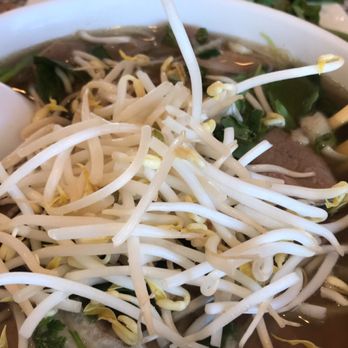 Viet Garden Restaurant - Vietnamese Near Me - Baton Rouge, Louisiana Viet Garden Restaurant - Vietnamese Near Me - Baton Rouge, Louisiana