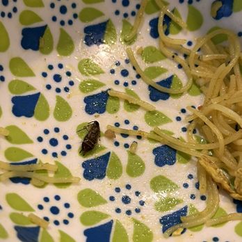 Szechuan Palace - A roach was found in the Singapore Rice Noodles. never go back again! - Chinese Near Me - Gaithersburg, Maryland Szechuan Palace - A roach was found in the Singapore Rice Noodles. never go back again! - Chinese Near Me - Gaithersburg, Maryland