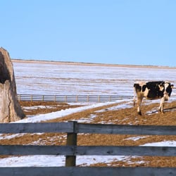 17th Street Photo - #bestwinterphoto contest winner 2015!