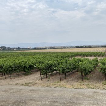 Kalyra Winery - Vineyard - Wineries Near Me - Buellton, California Kalyra Winery - Vineyard - Wineries Near Me - Buellton, California
