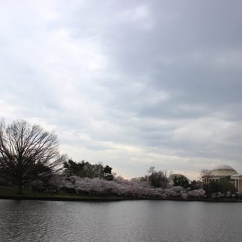 Tidal Basin - Lakes Near Me - Washington, DC, District of Columbia Tidal Basin - Lakes Near Me - Washington, DC, District of Columbia
