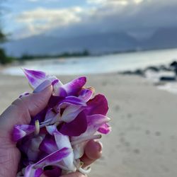 Kanaha Beach Park