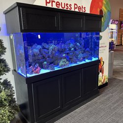 Aquarium in Theater lobby