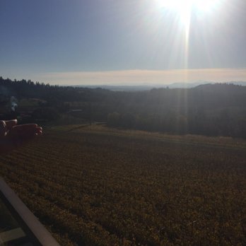 Willamette Valley Vineyards - Views - Wineries Near Me - Turner, Oregon Willamette Valley Vineyards - Views - Wineries Near Me - Turner, Oregon