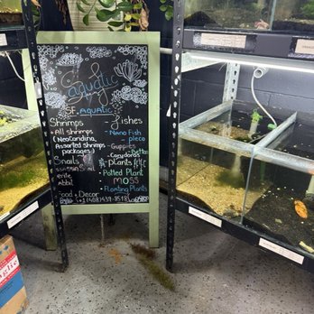 SF Aquatic - Aquariums Near Me - Walnut Creek, California SF Aquatic - Aquariums Near Me - Walnut Creek, California