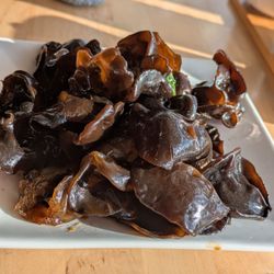 Boston Soup Dumplings - Wood ear