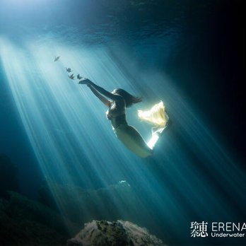 Devil's Den Prehistoric Spring - Scuba Diving Near Me - Williston, Florida