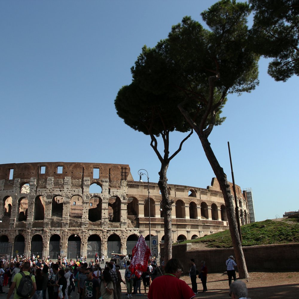 Colosseo - Flavian Amphitheatre - Local Flavor Near Me - Rome, RM