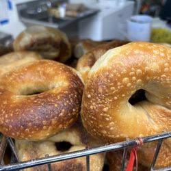 Logan’s Bagels - Plain Bagels!
