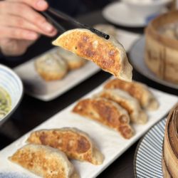 Jiangnan Dim Sum - Pan-Fried Pot Stickers w/ Prawn