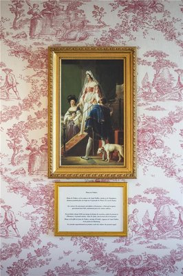 Hotel & Spa Le Grand Monarque Chartres by null