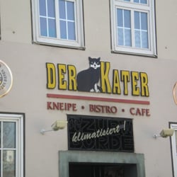 Der Kater