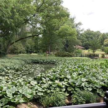 Glencairn Garden - Lily pad garden - Botanical Gardens Near Me - Rock Hill, South Carolina Glencairn Garden - Lily pad garden - Botanical Gardens Near Me - Rock Hill, South Carolina