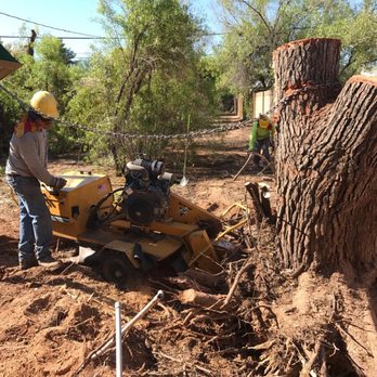 Techer's Tree Service - Tree Services Near Me - Phoenix, Arizona Techer's Tree Service - Tree Services Near Me - Phoenix, Arizona