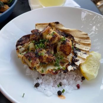 Carthay Circle Lounge - Baked bay scallops - Lounges Near Me - Anaheim, California Carthay Circle Lounge - Baked bay scallops - Lounges Near Me - Anaheim, California