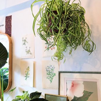 Glasser Coffee - Coffee & Tea Near Me - Brighton, Massachusetts Glasser Coffee - Coffee & Tea Near Me - Brighton, Massachusetts