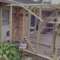 AAA Decking - For All My Cat Lovers ... Custom CATIO ‍