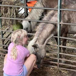 Heartland Haven Farm