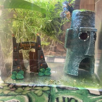 Nautilus Tropical Fish - The whole aquarium. - Local Fish Stores Near Me - Lakewood, California Nautilus Tropical Fish - The whole aquarium. - Local Fish Stores Near Me - Lakewood, California