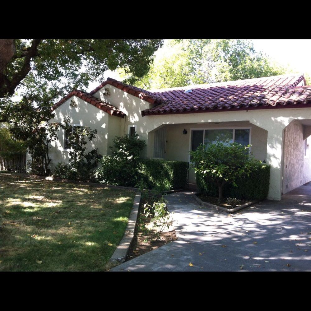 Tree Tech Services - Front house. Large tree wonderfully trimmed. - Tree Services Near Me - Sacramento, California Tree Tech Services - Front house. Large tree wonderfully trimmed. - Tree Services Near Me - Sacramento, California
