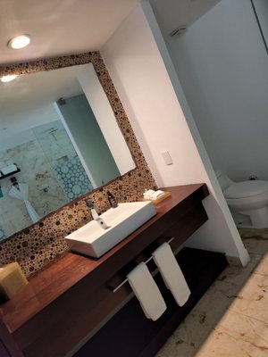 The Palm at Playa by null