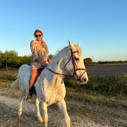 Orchid Stables Riding Club - Beautiful!