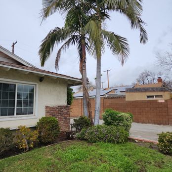 Safeway Tree Service - Palm tree touching roof - Tree Services Near Me Safeway Tree Service - Palm tree touching roof - Tree Services Near Me