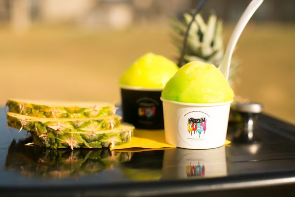 Frozen Lush ATL by null