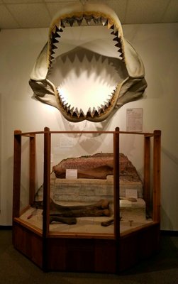 Brazosport Museum of Natural Science