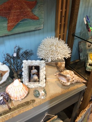 The Blue Mussel by null