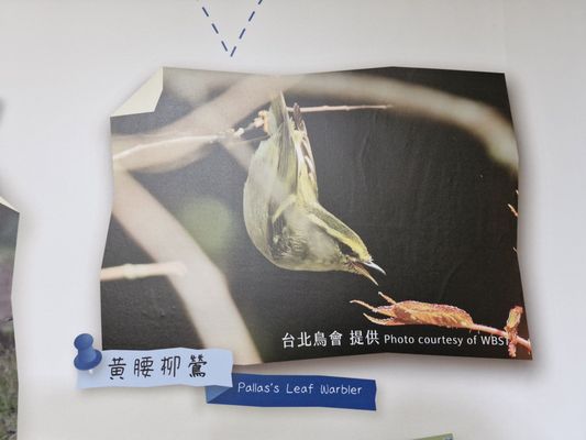 National Taiwan Museum by null