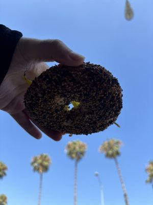 Mustard's Bagels by null