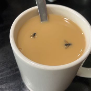 Paulee's Restaurant - 2 flies in my coffee - Diners Near Me - Macomb, Michigan Paulee's Restaurant - 2 flies in my coffee - Diners Near Me - Macomb, Michigan