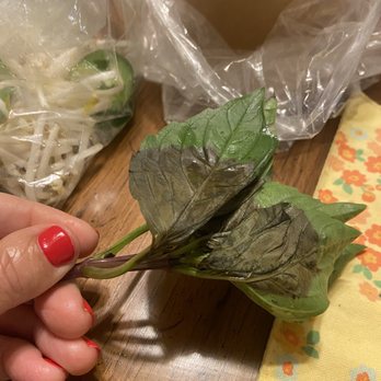 Pho Bistro - The basil included with the "vegetable" pho - Vietnamese Near Me - Elk Grove, California Pho Bistro - The basil included with the "vegetable" pho - Vietnamese Near Me - Elk Grove, California