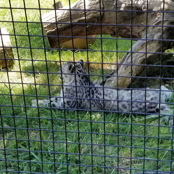 Micke Grove Zoo - Zoos Near Me - Lodi, California