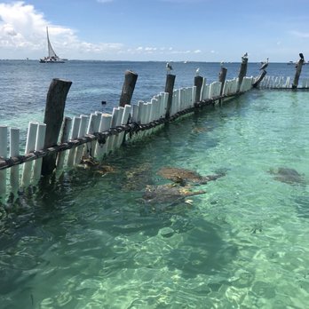 Tortuganja / Turtle Farm - Parks Near Me - Quintana Roo, ROO