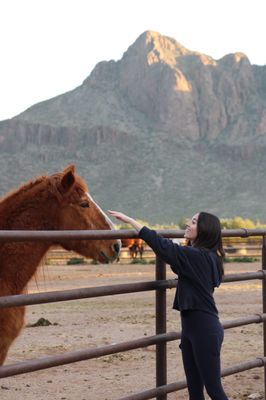White Stallion Ranch by null