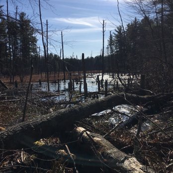 Plaistow Town Forrest - Serene water views - Hiking Near Me - Plaistow, New Hampshire