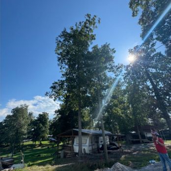Gibson Land Services - 2 of the trees, he talked me into cutting, stated they would be a problem later, I agreed. - Tree Services Near Me