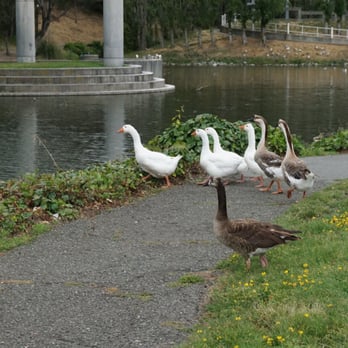 Refugio Valley Park - ran into these little fellas - Parks Near Me - Hercules, California