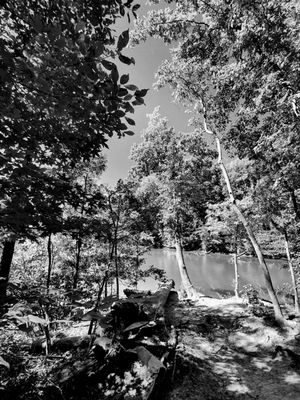 Lake Norman State Park by null