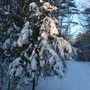 Photo of Purinton Homestead Conservation Trail