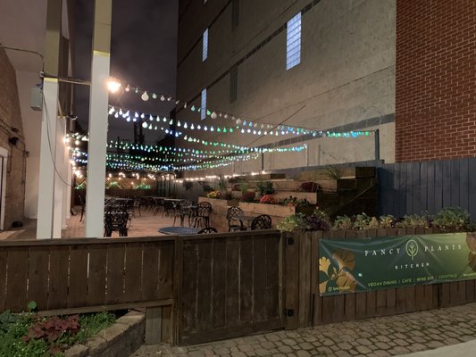 Fancy Plants Kitchen by null