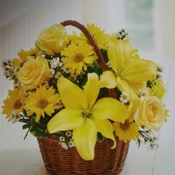 DesignScapes By LEH - $45-$55