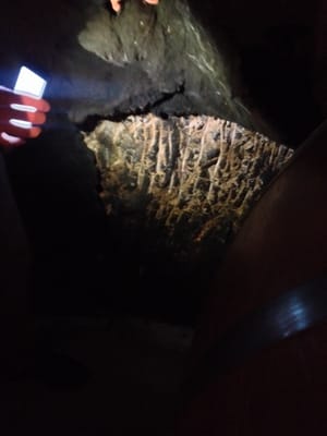 Storybook Mountain Winery by null