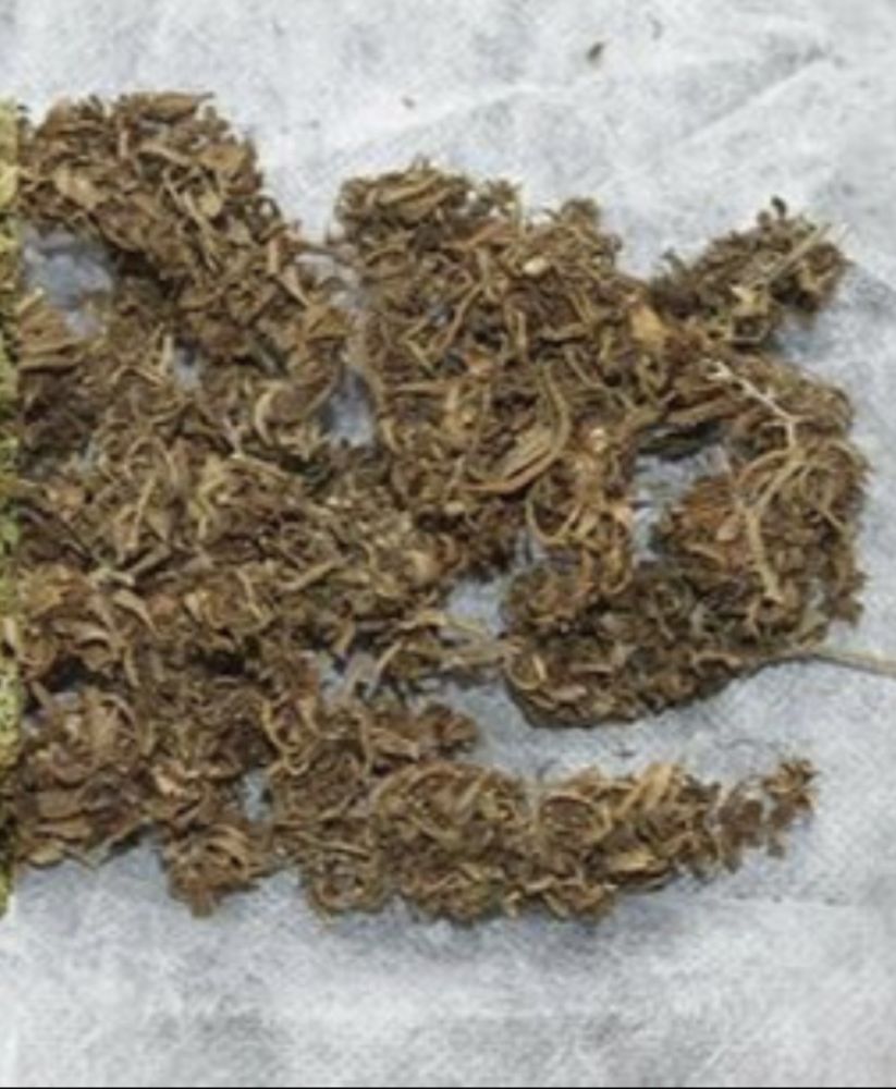 PAULMAC’S PETS Updated September 2024 4725 Dorchester Rd, Niagara